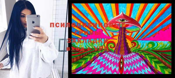 скорость Инсар
