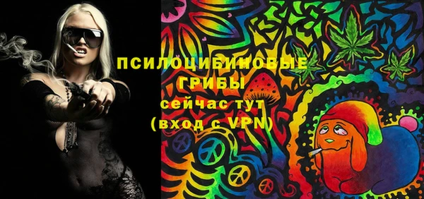 дживик Зеленодольск