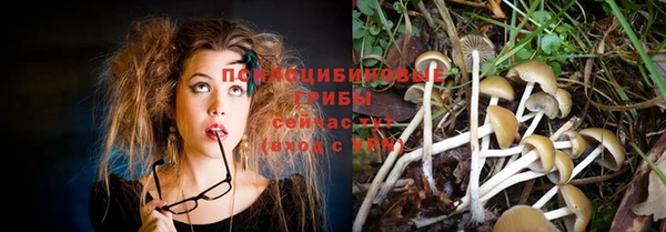 дживик Зеленодольск
