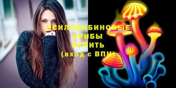 спиды Инта