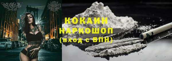 спиды Инта