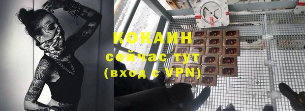 гидра Каменногорск